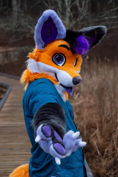 Thumbnail ScrambleFox's Furry Adventure: Take My Paw and Let's Go
