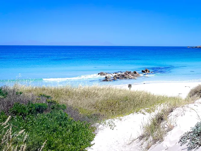 Thumbnail Coastal Charm: Pringle Bay Western Cape South Africa | beach