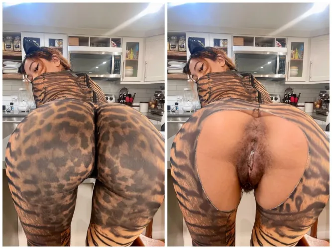 Thumbnail Seeking Assistance to Identify in catame2's 'Can someone help id her' in PornID