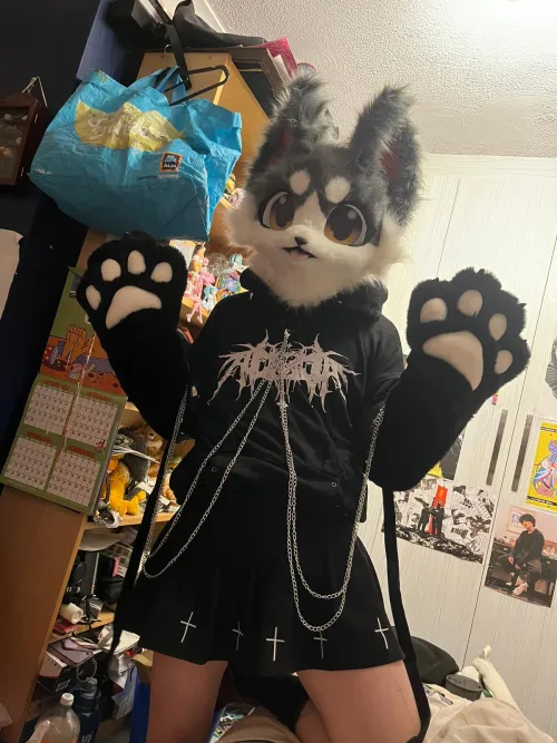 Thumbnail Cute Furry Hangout: Brainwashedclothing's Delight
