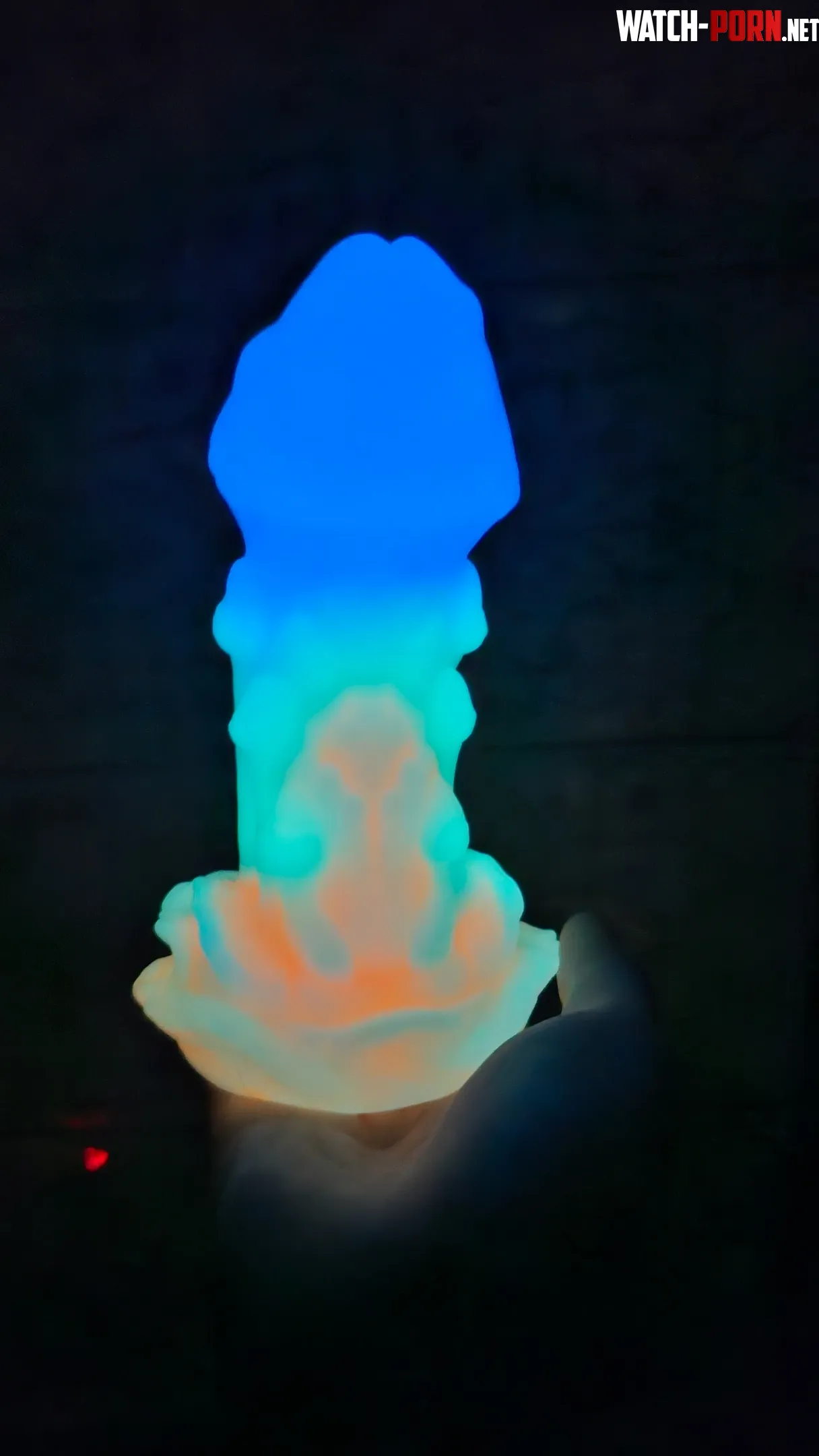 the glow on my amanita holy fuck by Embarrassed-Visit678