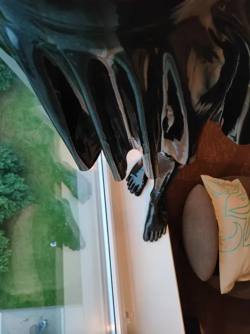 Thumbnail FetishPengu's Intriguing Window Adventures in ShinyPorn