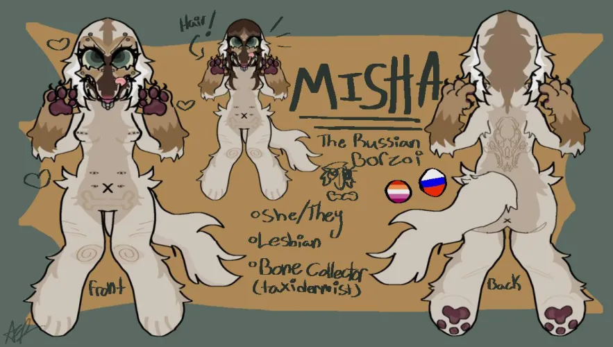Thumbnail Meet Misha the Borzoi - Furry