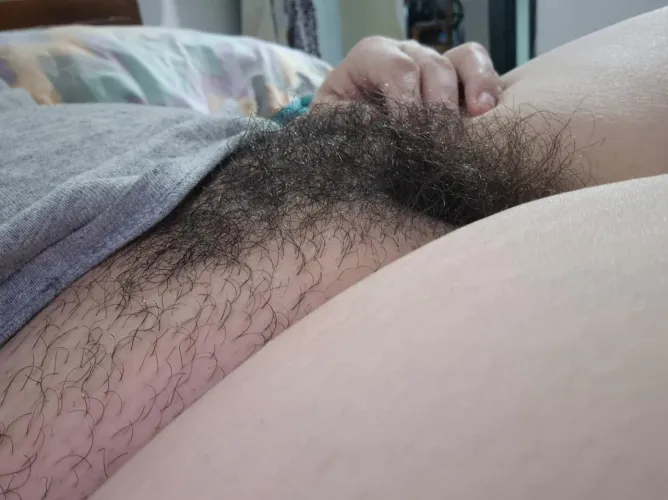 Thumbnail Six Months of Unshaved Rug Life by Lunaalorens