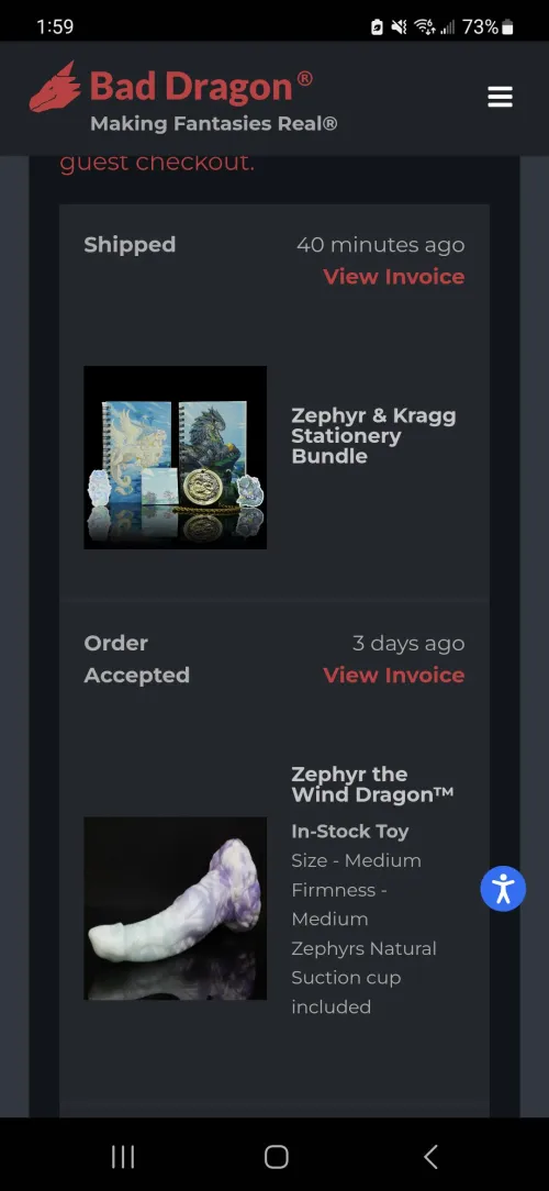 Thumbnail Tracking Woes and Order Frustrations: The BadDragon Conundrum with skrooker