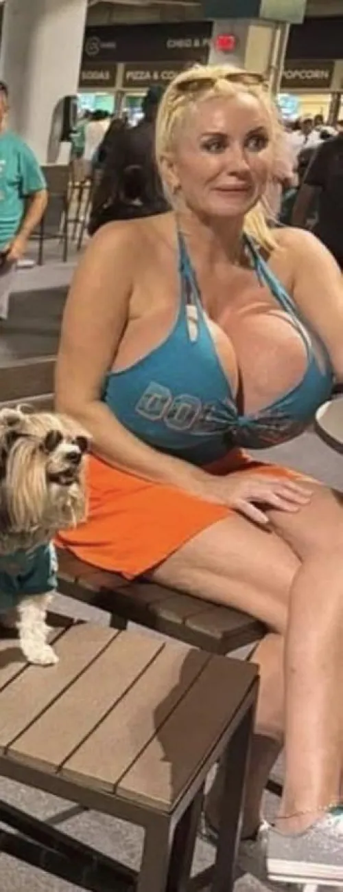 Thumbnail Mystery Solved: Identify the Dolphins Fan with nelsonalcover