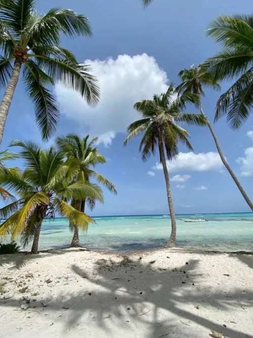 Thumbnail Saona Island, Dominican Republic: A Tropical Paradise Guide by yeuxdusphynx