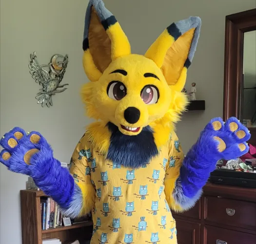 Thumbnail Furcon Essentials: What to Pack for the Adventure | tysquid34
