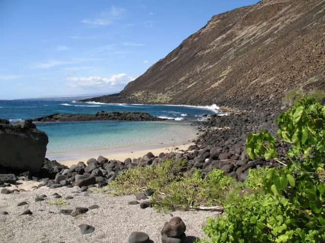 Thumbnail colapepsikinnie Captures Halape Beach Beauty - Beach Views