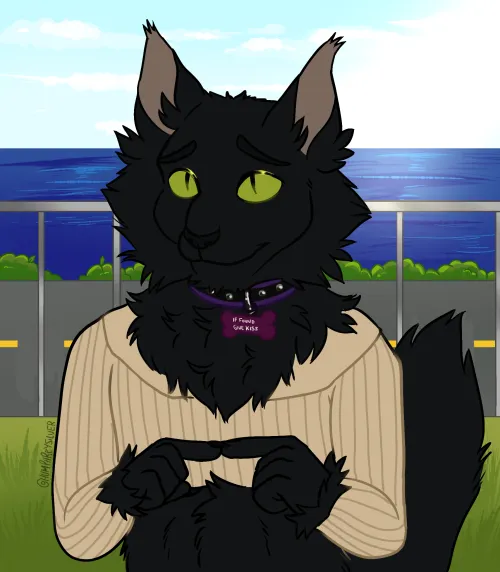 Thumbnail Commission Finished: A Showcase from princesilver05 | furry
