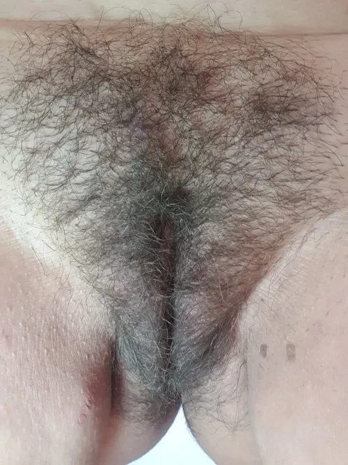 Thumbnail Pretty Pussy Hiding Under a Bush by Whynotwitholivia | HairyWomenAreSexy