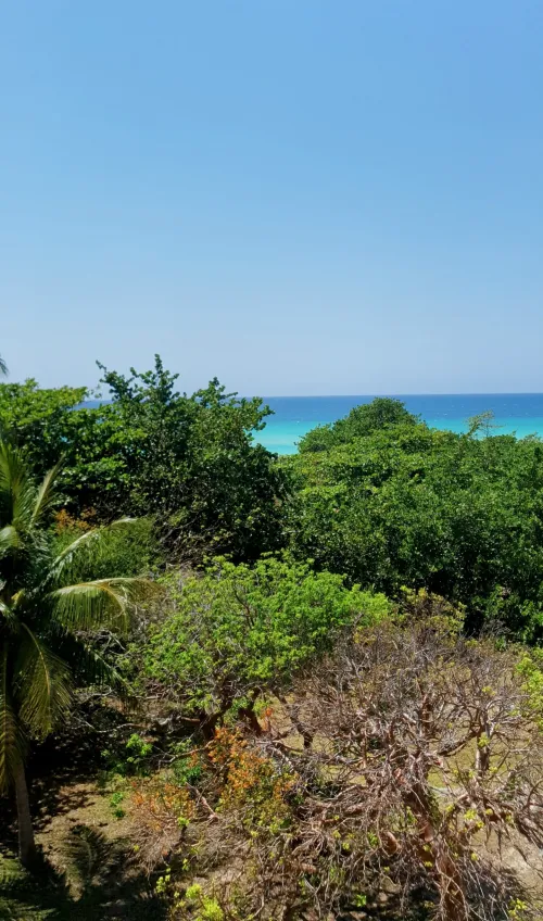 Thumbnail AbraNBA Shares Stunning View of Cuba - Beach Scenes