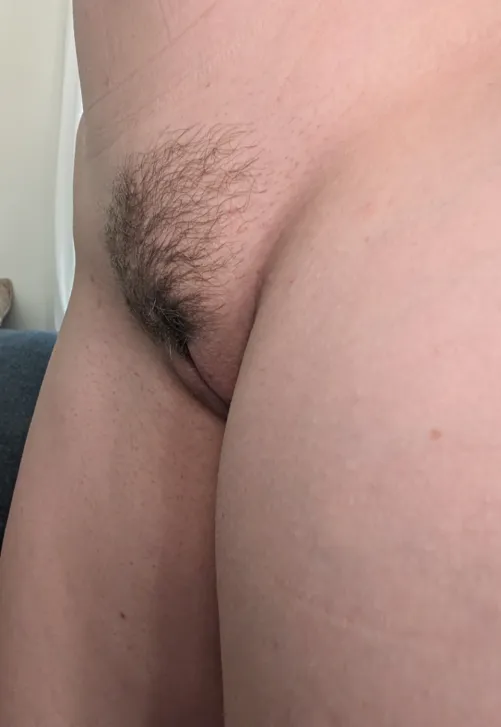 Thumbnail Intimate Display: Spotlight on a Bushy Profile by Rude_Complex_1554 | MoundofVenus Category