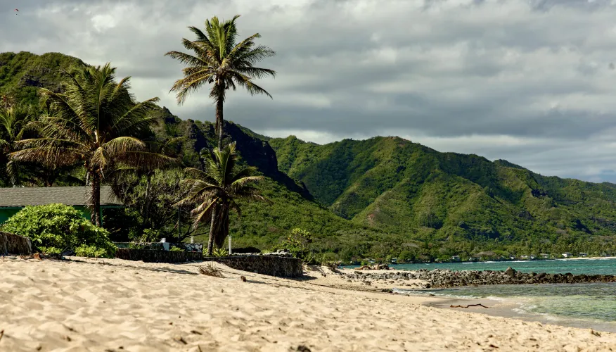 Thumbnail Discover a Hidden Gem: Billymaysdealer Explores Random Beach near North Shore Hawaii