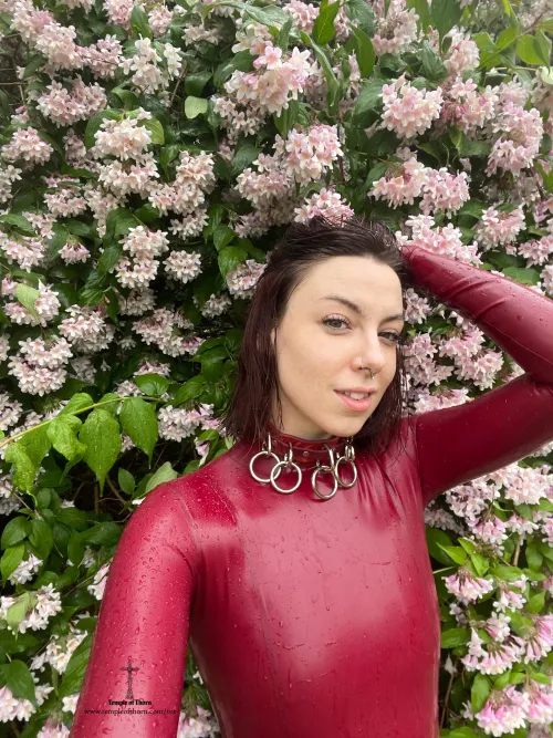 Thumbnail ShinyPorn: Rainy Latex Pleasures - Author: missthorn