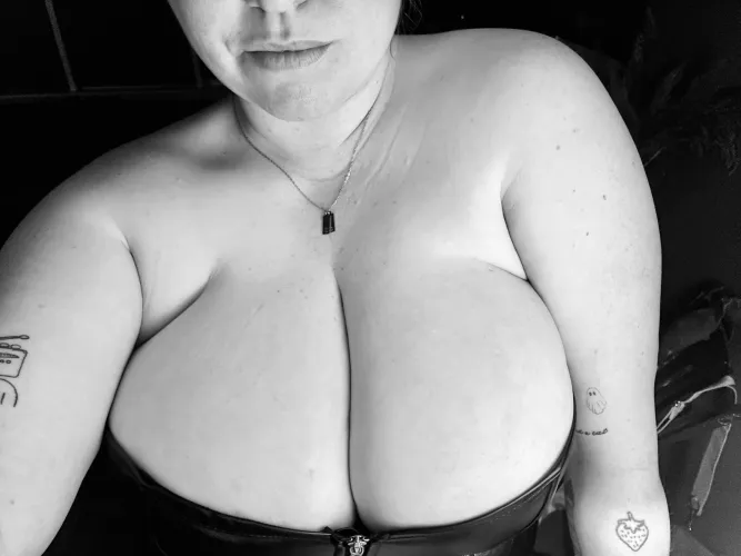 Thumbnail Shelf for Trophies: Displaying BBW Beauty by KendallD