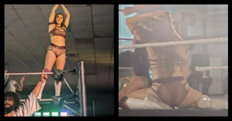 Thumbnail Wren Sinclair's Unveiled Charms by Orlandoking18 | WrestleFap Exploration