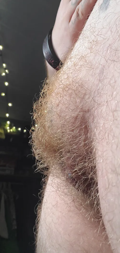 Thumbnail Unleashing Passion: Embrace my Ginger Mound with ftm666incubus
