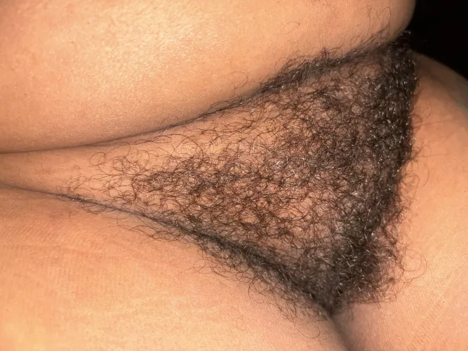 Thumbnail Discover Good Coverage for Your Needs - HairyCurvy