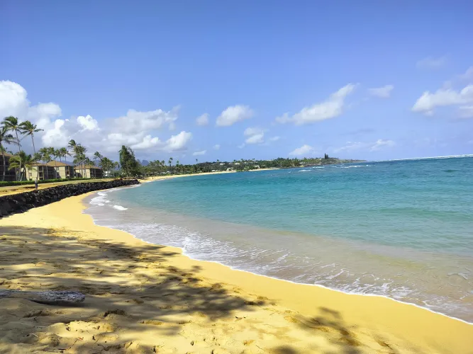 Thumbnail Kapaa Beach Beauty: WarthogEnough2757's Enjoyment | Beach Serenity