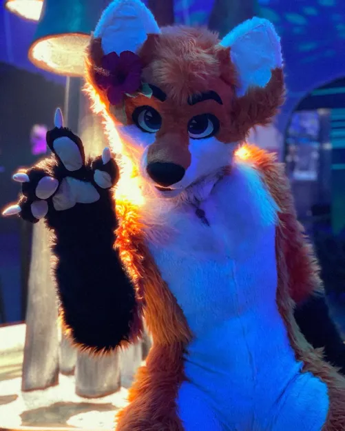 Thumbnail Delve into the Furry World with hhewwo gtlt by blaze_the_foxx