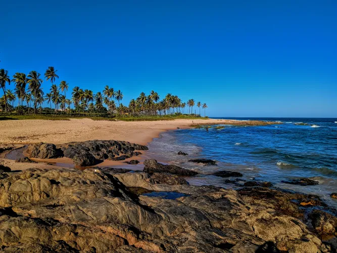 Thumbnail Discover the Beauty of Bahia State Beach in Brazil