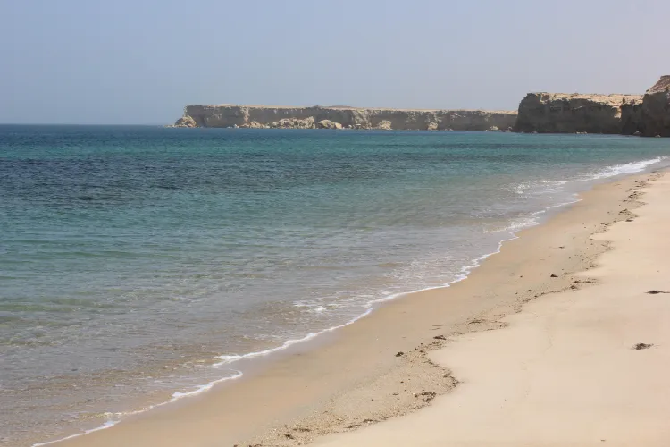 Thumbnail Rediscover the Charm of Mauritania's Underrated Beaches