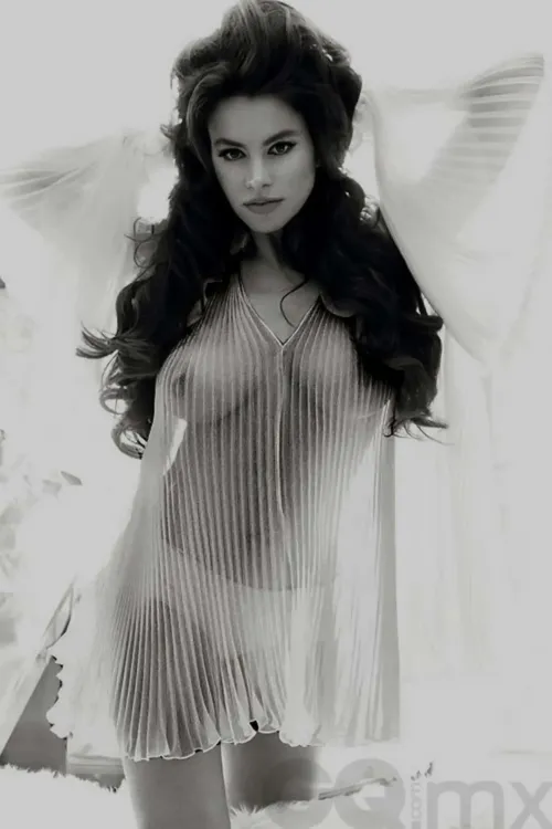 Thumbnail Sofia Vergara: Icon of Celebswithbigtits