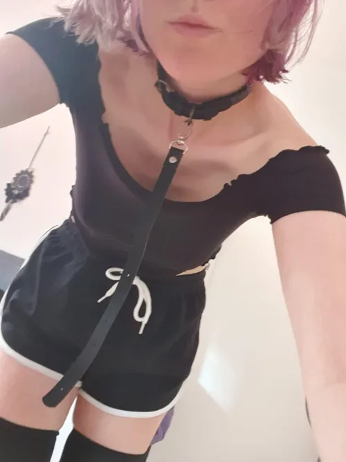 Thumbnail Who Will Take Me for a Walk? - Important_Reality235 in Petplay