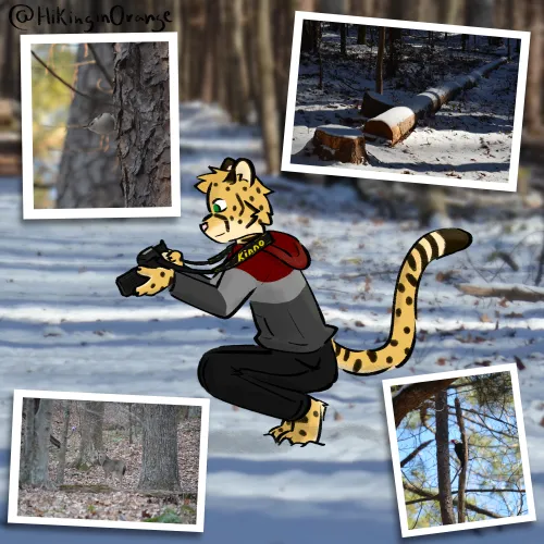 Thumbnail HikinginOrange Explores Photography & Art | furry