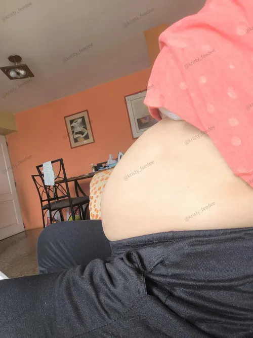 Thumbnail Feede_kristy's Weight Journey: Embracing Growth and Satisfaction in Stuffers' World