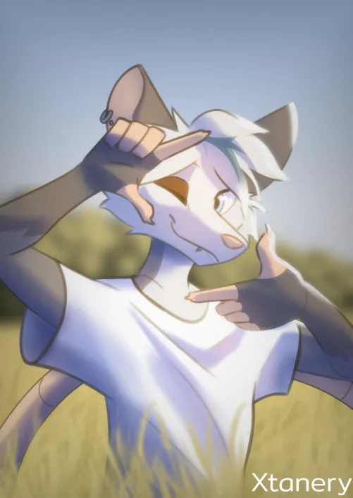 Thumbnail Opossum in Fields: A Gift for a Friend by Xtanery in the Furry Realm