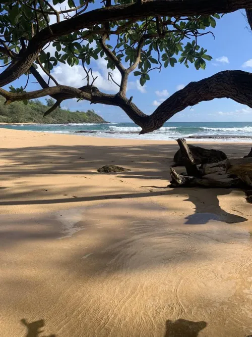 Thumbnail Hawaiian Vibes: Embracing Beach Culture | colapepsikinnie