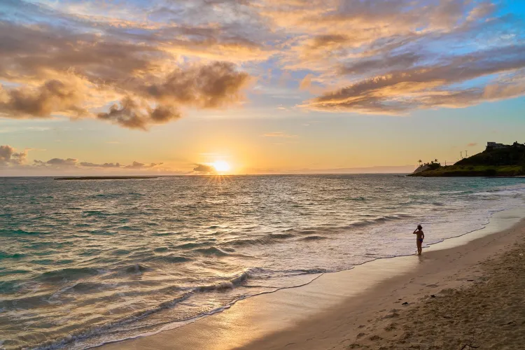 Thumbnail Oahu Oasis: Discovering Hawaii's Beauty | orlcam88