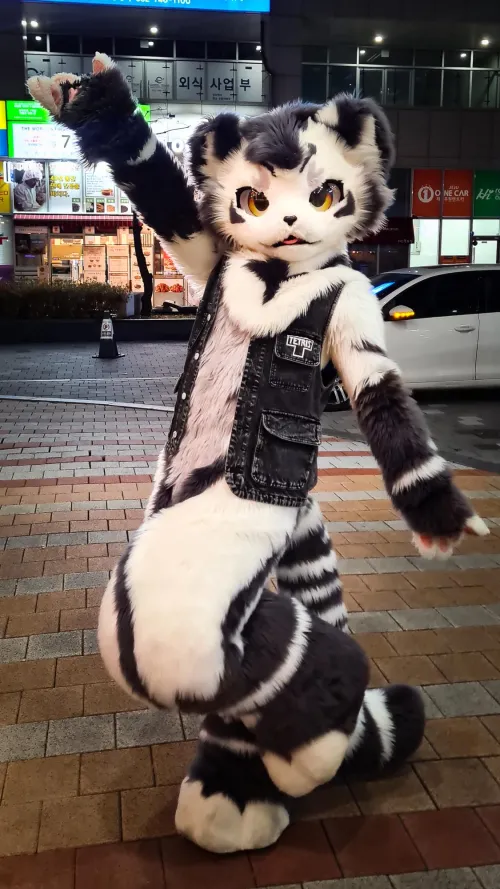 Thumbnail Gintan: Exploring Furry Realms | Dragoniel