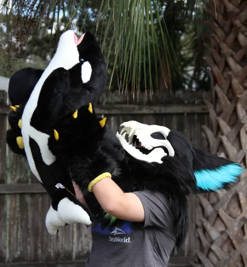 Thumbnail Orca Plush: A Furry Fan Favorite by springtraplover14