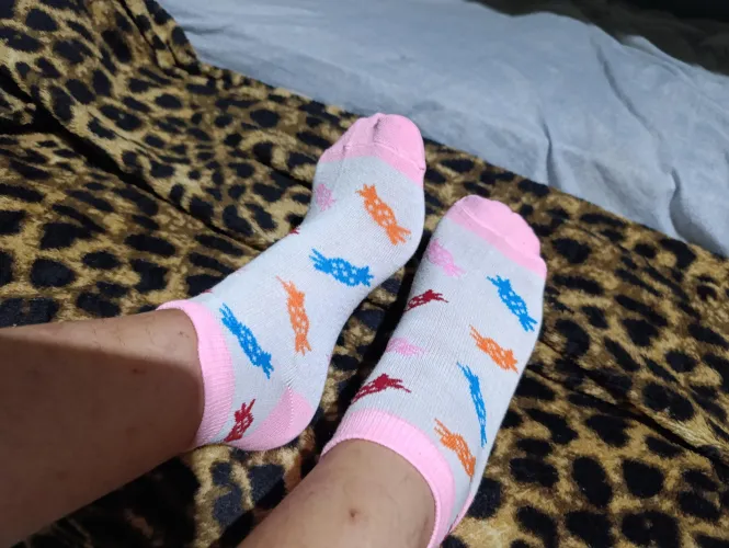 Thumbnail Candy-Like Delight: Styling White Socks | lalycolo27