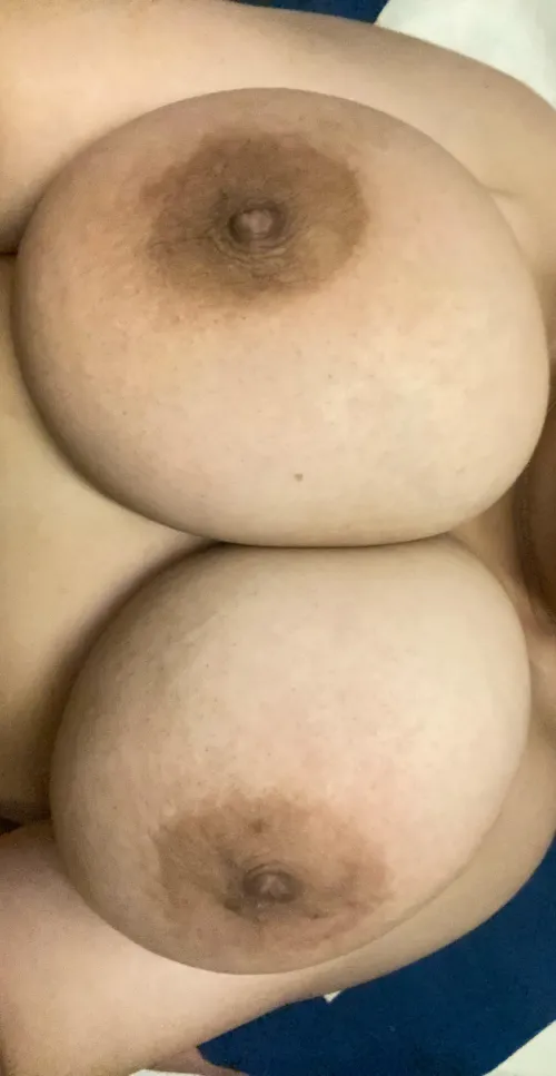 Thumbnail How Are They? - Your Opinion Needed