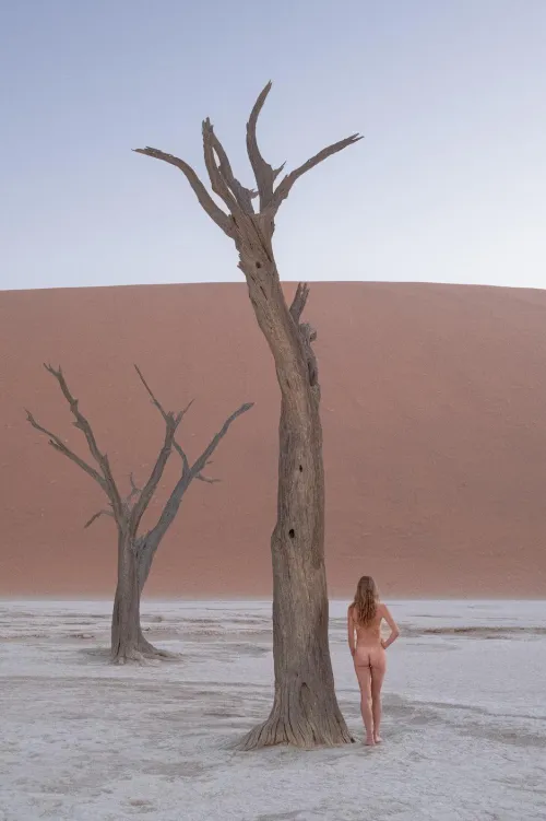 Thumbnail JPdiaries Explores Sensuality with Ancient Trees of Dead Vlei Namibia