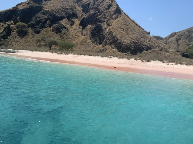 Thumbnail Pink Sand Beach Indonesia: Discover the Beauty by TheUltronProgram in beach Category