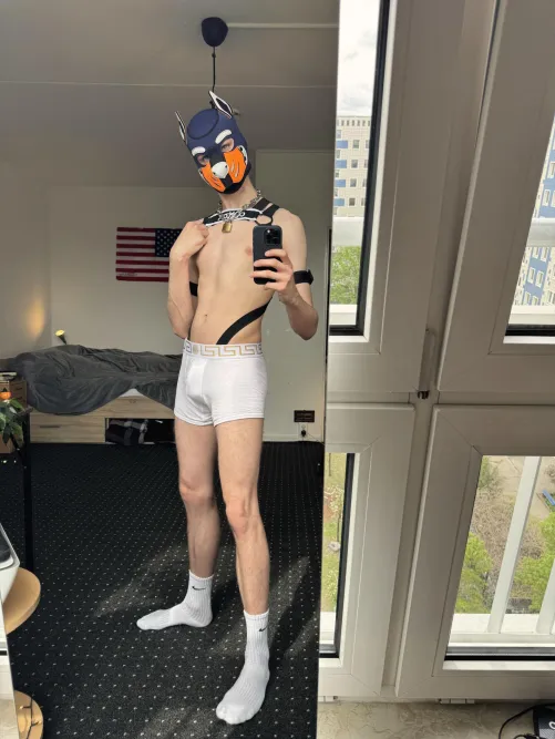 Thumbnail Outfit Opinions: Petplay Stories with Jake_Taro