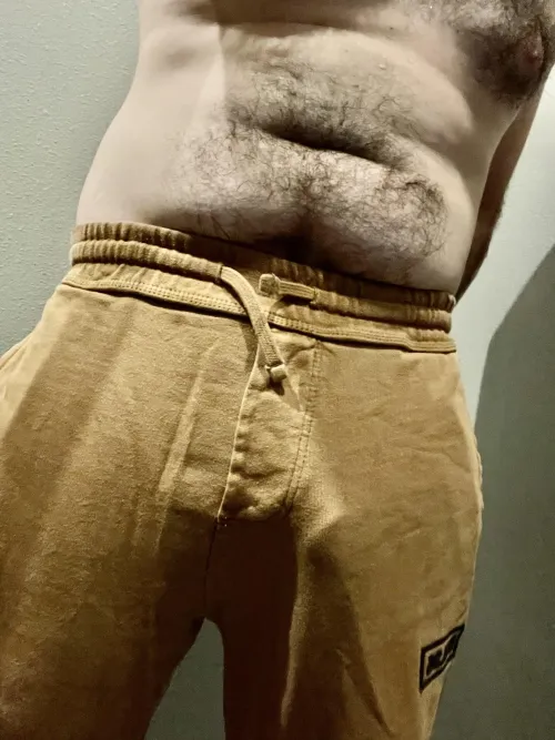Thumbnail Averageplinker's Journey: 32 and Straight - Growing and Showing
