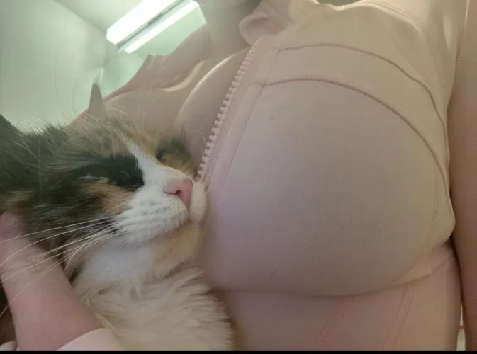 Thumbnail Living the Dream on 615CCs: The Journey of 32DDD's by Seoullitys