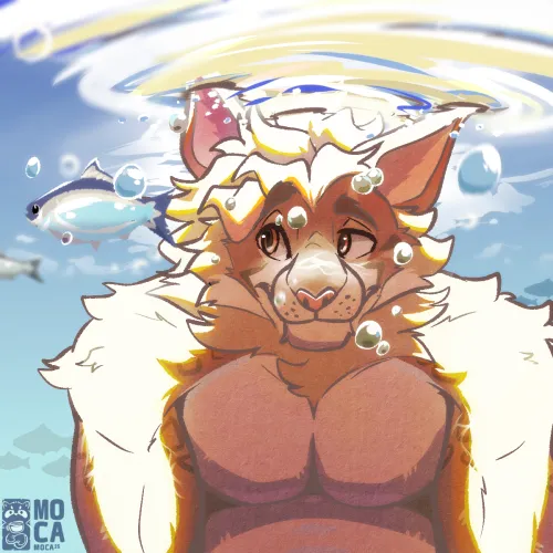 Thumbnail Dive 'Under The Surface' in Furry Art by yukonl