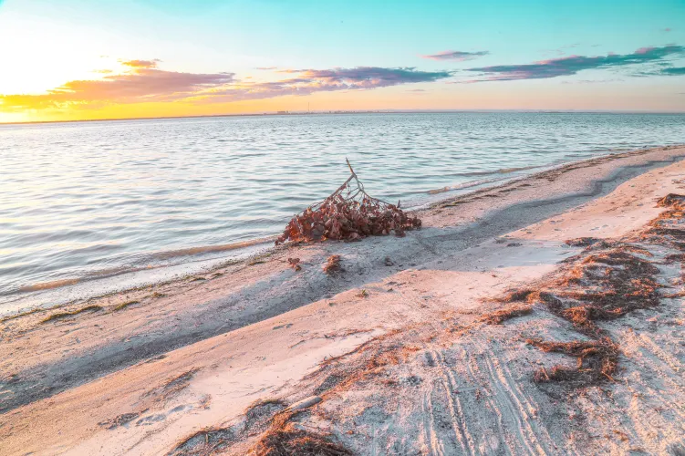 Thumbnail Beach Day Bliss: A Glimpse into Tampa, Florida - zefmiller