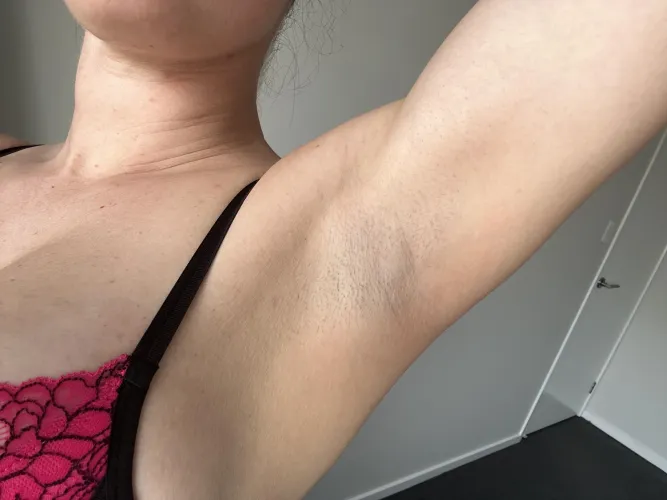 Thumbnail From Shaved to Stubble: Anna's Journey in Armpit Fetishism by annamays91
