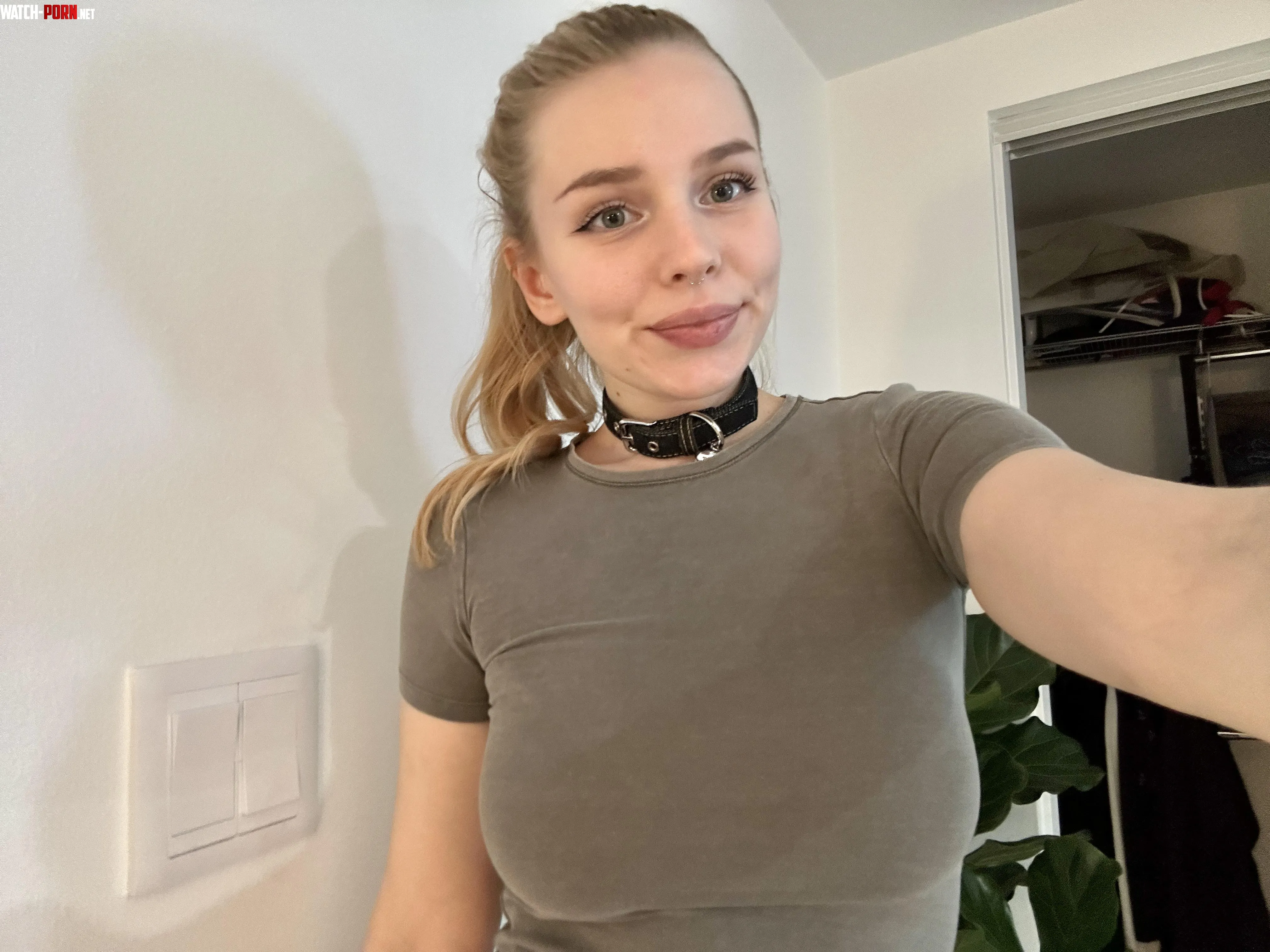 Thanks to Reddit I went from being a boring nerd to wearing a collar in my everyday life crazy right  by ChicrRadiance