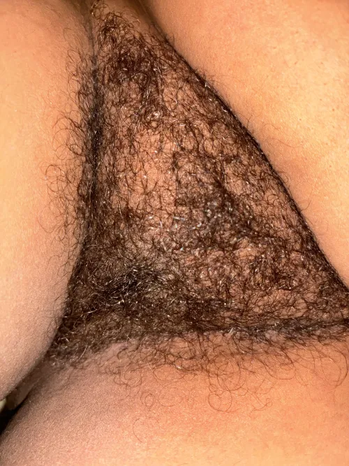 Thumbnail Bloody Valentine Adventures in HairyCurvy with JadeCharde
