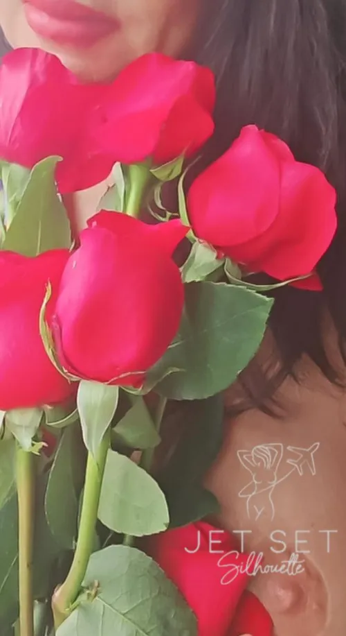 Thumbnail Romantic Whispers and Red Roses: A Journey into AgedBeauty by JetSetSilhouette