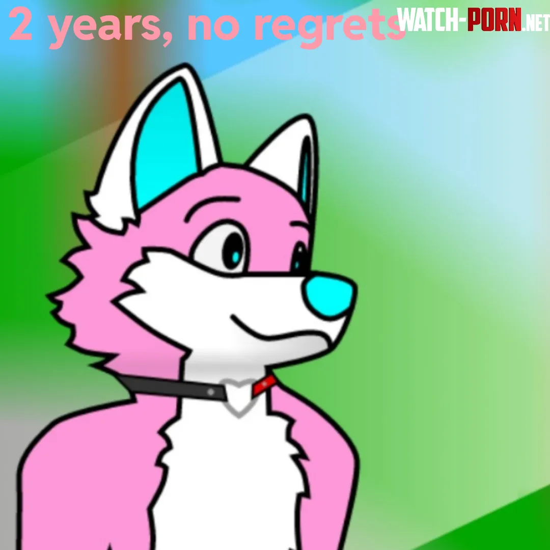 Ive been a furry for exactly two years today Yeah i dont have anything else to say really by StoutPegasus648